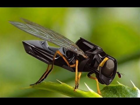 This is the first testing blog posts&nbsp;